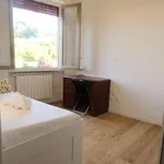 Rent 2 bedroom apartment in Florence