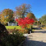 Huur 1 slaapkamer huis van 1500 m² in Tontelange