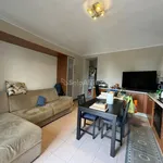 Rent 1 bedroom apartment of 50 m² in torino