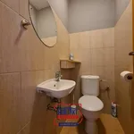 Rent 2 bedroom apartment of 69 m² in České Budějovice