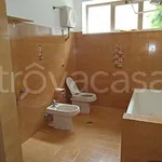 Rent 3 bedroom apartment of 100 m² in Frosinone