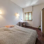 Rent 6 bedroom apartment in Lisbon