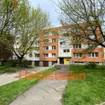 Rent 2 bedroom apartment of 39 m² in Ostrava