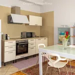 Rent 2 bedroom apartment of 62 m² in Torino