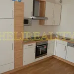 Rent 2 bedroom apartment of 65 m² in Capital City of Prague