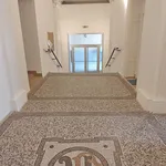 Rent 3 bedroom apartment of 1045 m² in Brno