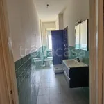 Rent 3 bedroom apartment of 80 m² in Torino