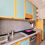 Rent 1 bedroom apartment of 40 m² in milan