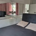 Rent 2 bedroom apartment of 50 m² in Poznan