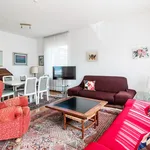 Via Miravalle, Paradiso - Amsterdam Apartments for Rent