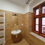 Rent 1 bedroom apartment in Olomouc