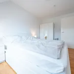 Rent 3 bedroom apartment of 58 m² in Fürstenwalde