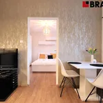 Rent 2 bedroom apartment of 35 m² in Brno