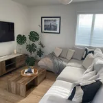 Rent 3 bedroom house in Ōrākei