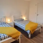 Rent a room in dublin