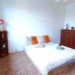 Rent 2 bedroom apartment of 42 m² in České Budějovice