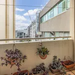 Rent 2 bedroom apartment in Auckland City