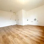 Rent 1 bedroom apartment of 32 m² in Brno