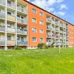 Rent 2 bedroom apartment of 51 m² in Chemnitz