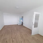 Rent 3 bedroom apartment in Praha 4