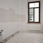 Rent 2 bedroom apartment of 55 m² in Chemnitz