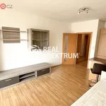 Rent 1 bedroom apartment of 33 m² in Brno