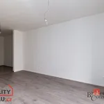 Pronajměte si 1 ložnic/e byt o rozloze 29 m² v Pilsen