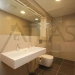 Rent 3 bedroom apartment of 103 m² in Prague