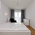 Rent 2 bedroom apartment of 54 m² in Rzeszów