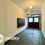 Rent 1 bedroom apartment in Praha 3