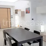 Rent 4 bedroom apartment of 100 m² in Pescara