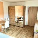 Rent 1 bedroom house in Uherské Hradiště