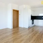 Pronajměte si 2 ložnic/e byt o rozloze 69 m² v České Budějovice