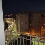 Rent 5 bedroom apartment in Alicante