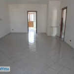 Affitto 5 camera appartamento di 151 m² in Palermo