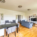 Rent 4 bedroom apartment of 150 m² in Prague