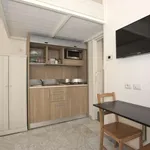 Rent 1 bedroom apartment of 30 m² in rome