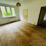 Pronájem bytu 2+1 49m²