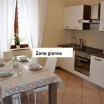 Rent 2 bedroom apartment of 50 m² in Bergamo