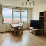 Rent 3 bedroom apartment in Frýdek-Místek