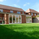 Rent 1 bedroom house in Colchester