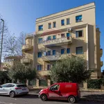 Rent 1 bedroom apartment of 34 m² in Roma