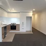 Rent 1 bedroom house in Auckland