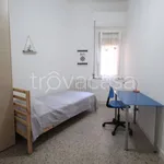 Rent 3 bedroom apartment of 80 m² in Termoli