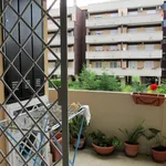 Rent 1 bedroom apartment of 30 m² in Roma