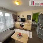 Rent 1 bedroom house of 201 m² in Hodonín