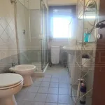 Rent 3 bedroom apartment of 90 m² in Roma