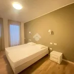 Rent 1 bedroom apartment of 65 m² in Fiorenzuola d'Arda