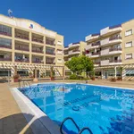 Rent 3 bedroom apartment of 80 m² in Orihuela