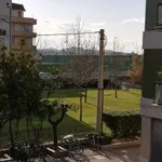 Rent 2 bedroom apartment of 50 m² in Pescara